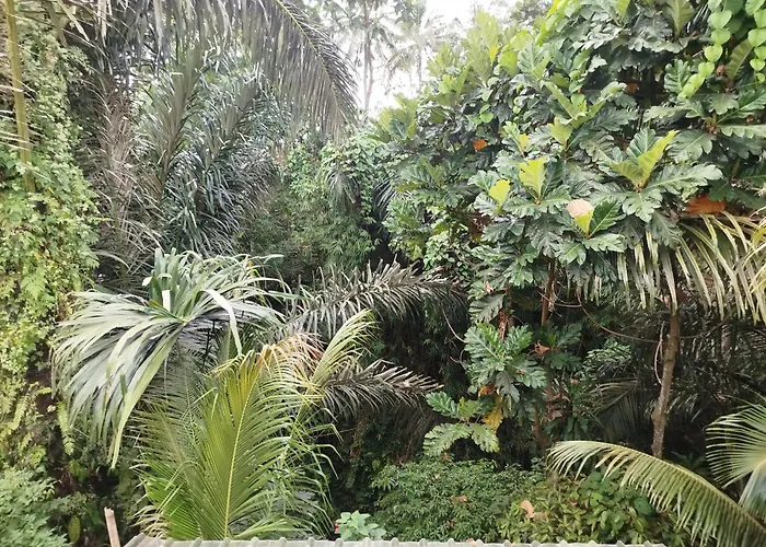 Suweta46 House Affittacamere Ubud