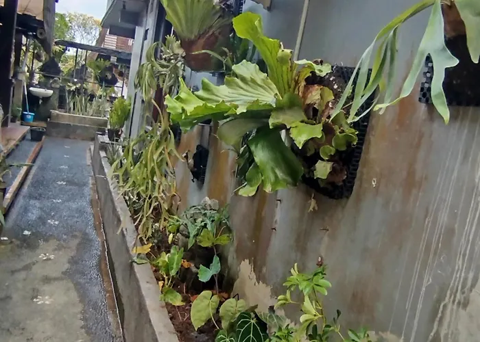 Suweta46 House