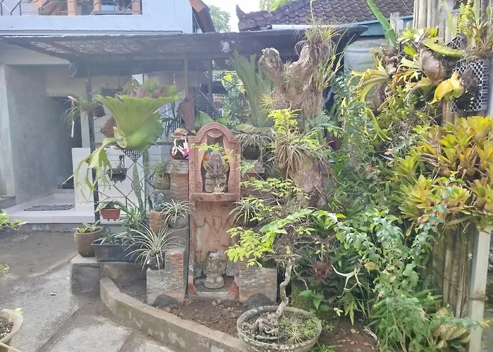 Suweta46 House Affittacamere